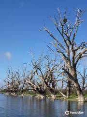 The Darling River Run