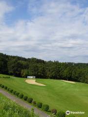 Golfschaukel Lafnitztal Stegersbach