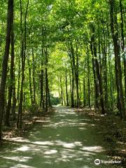 Les Salines Park