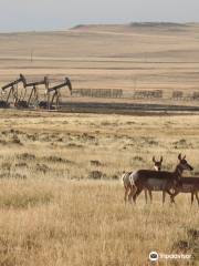 Thunder Basin National Grassland