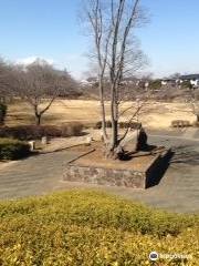 Kinunodaisakura Park