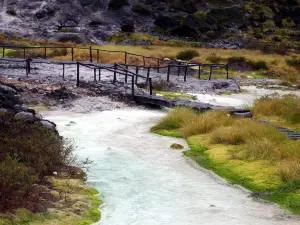 Parque Natural de Purace
