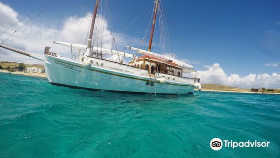 Aegean Ventures - Daily Tours