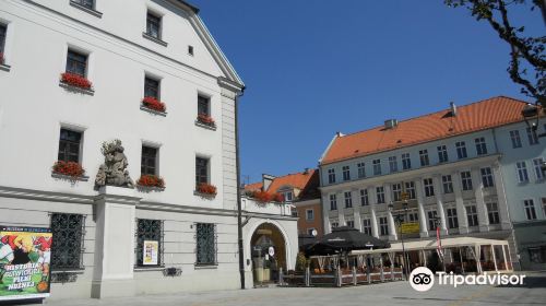 Rynek