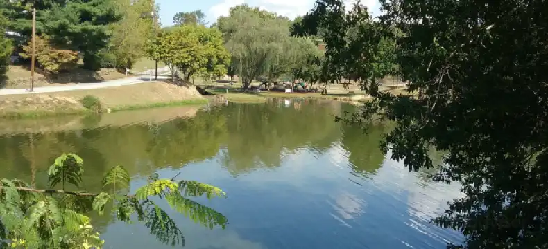 Hotels in Weaverville