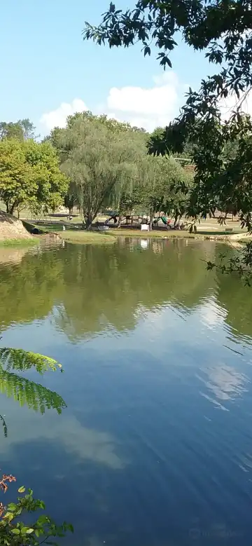 ウィーヴァーヴィルのホテル