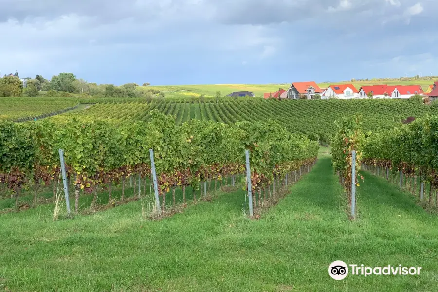 Weingut Stefan & Nicole Hitziger