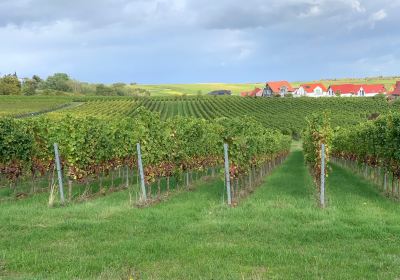 Weingut Stefan & Nicole Hitziger