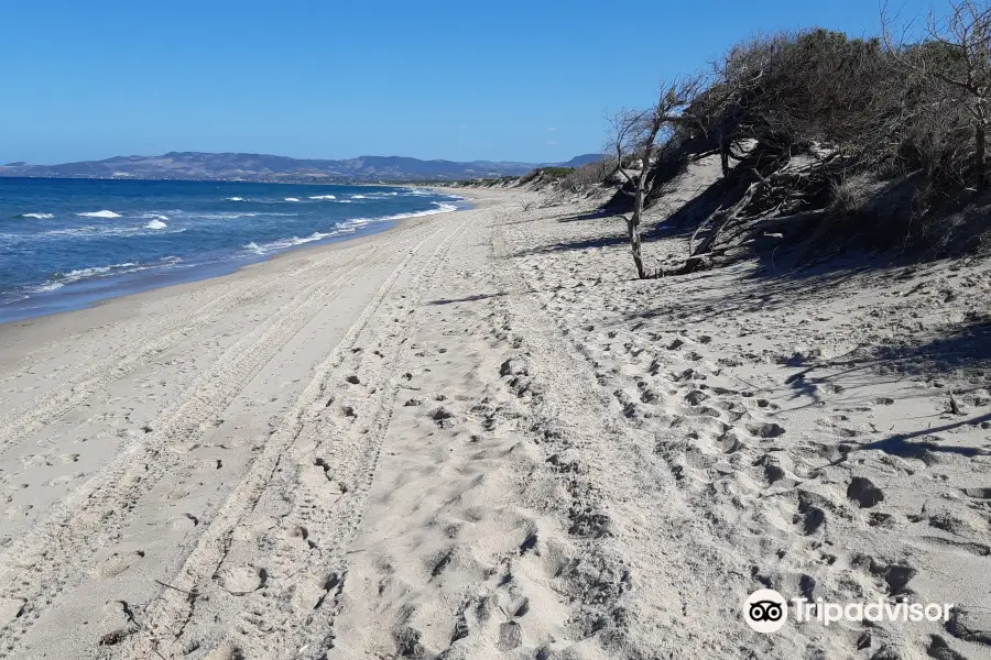 Platamona Beach