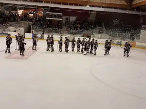 Municipal rink Jacques Raynaud