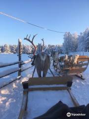 Torassieppi Reindeer Farm & Cottages