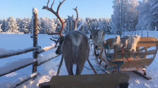 Torassieppi Reindeer Farm & Cottages