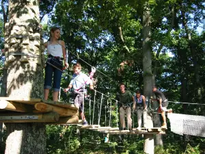 L'Appel de la Foret