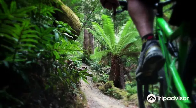 Cycling in Hobart