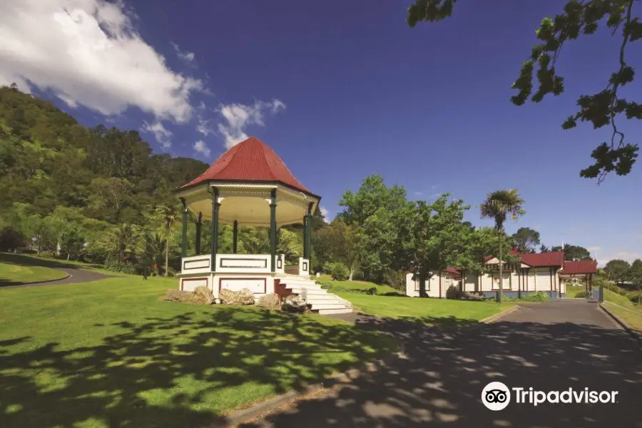 Swim Zone Te Aroha