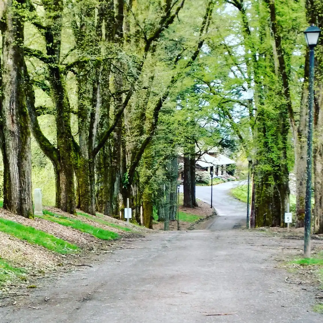 Hotels near Jenkins Estate