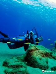 Daivoon Dive Center - Diving in Costa Teguise (Lanzarote)