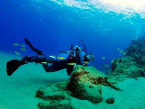 Daivoon Dive Center - Diving in Costa Teguise (Lanzarote)