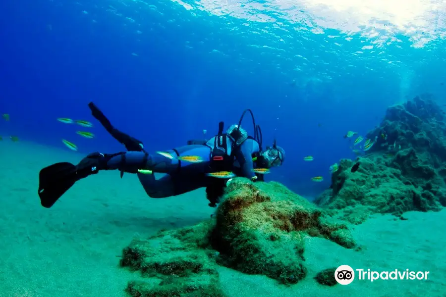 Daivoon Dive Center - Diving in Costa Teguise (Lanzarote)