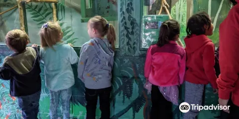 Riverside Discovery Center