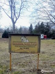 Aussakita Acres Farm