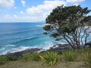 Te Paki Coastal Track