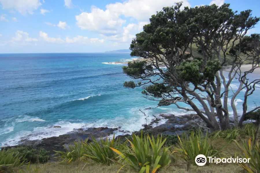 Te Paki Coastal Track