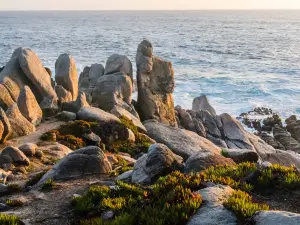 Pescadero Point