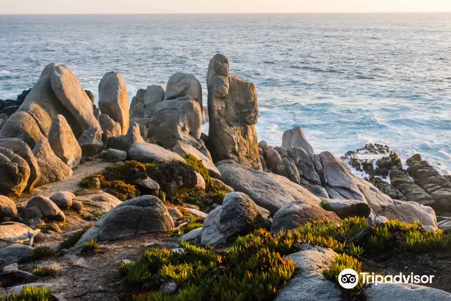 Pescadero Point