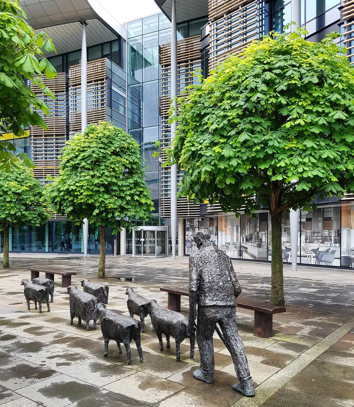 Hotels near "Sheep On The Road" sculpture By Deborah Brown