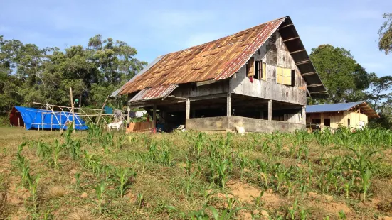 Mount Kitinglad Range National Park