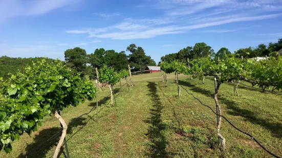 Chestnut Trail Vineyard