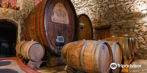 Balgera Vini di Balgera Paolo e C. Sas