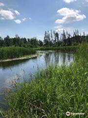 Mississippi Headwaters State Forest