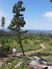 Little Devil's Tower Trail