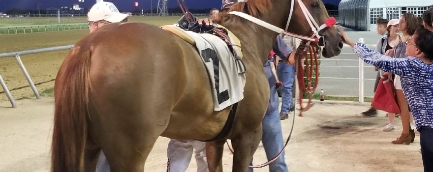 Retama Park