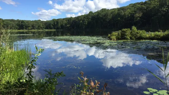 Egbert's Lake Park