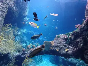 比亞裡茨水族館