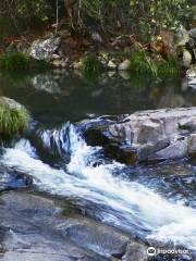 Cedar Creek Falls