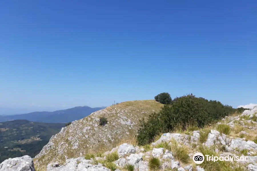 Parco dell'Orecchiella