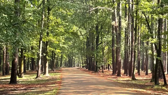 George P Cossar State Park