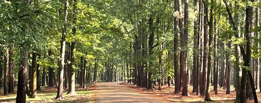 George P Cossar State Park