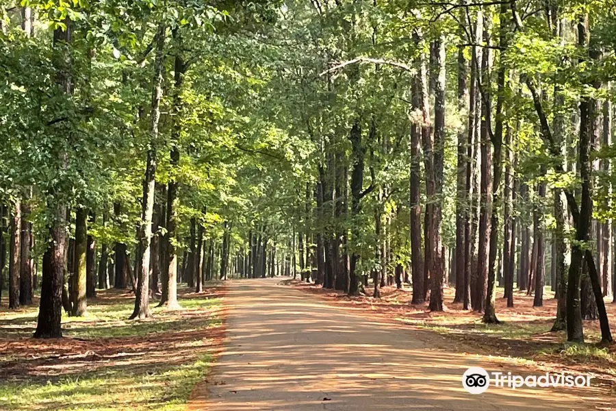 George Payne Cossar State Park