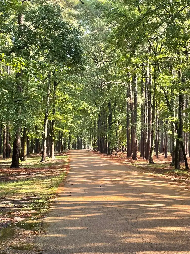 Yalobusha County