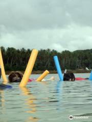 Ecoturismo Marinho