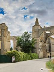 Ruinas del Convento de San Antón