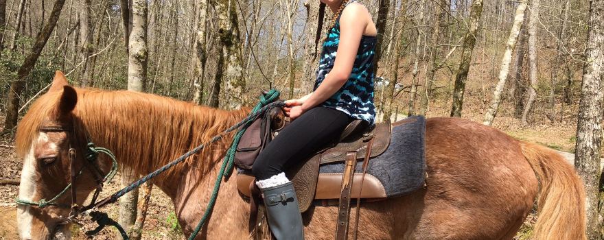 Chunky Gal Stables LLC