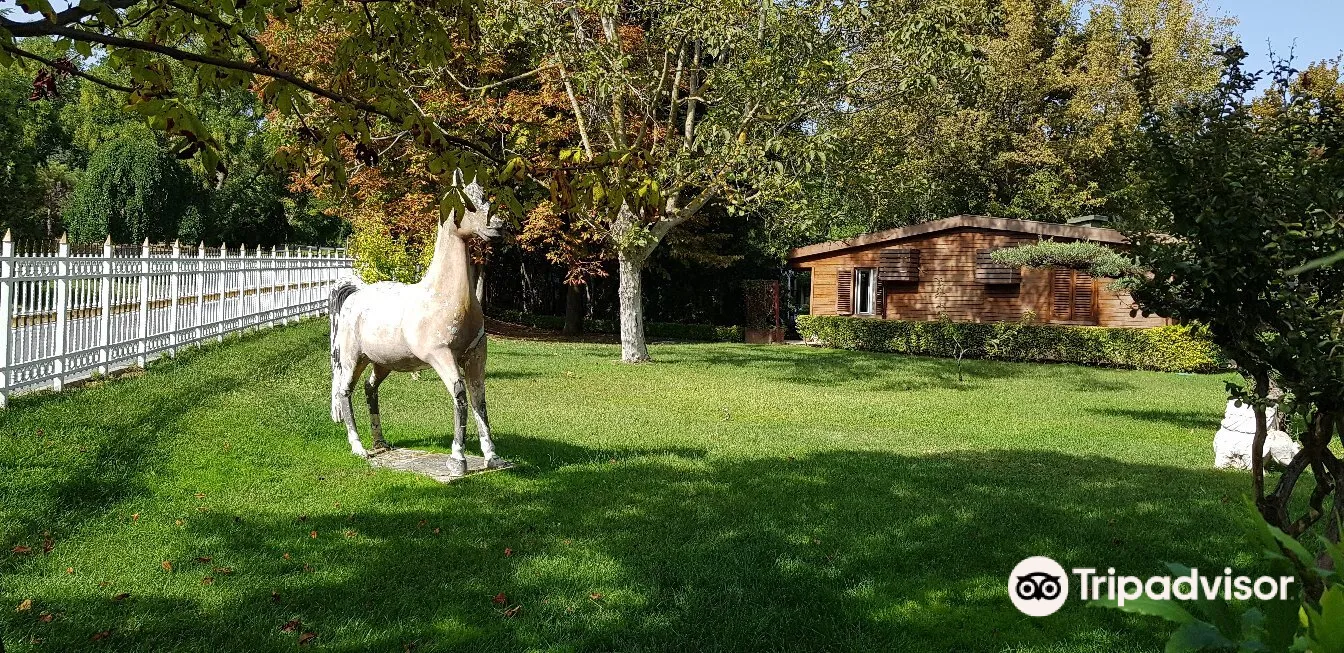 4_Florya Atatürk Forest