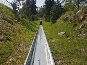 Toboggan