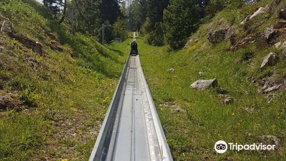 Toboggan
